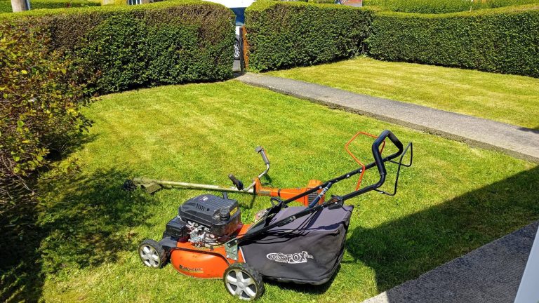 Grass cutting with a petrol mower