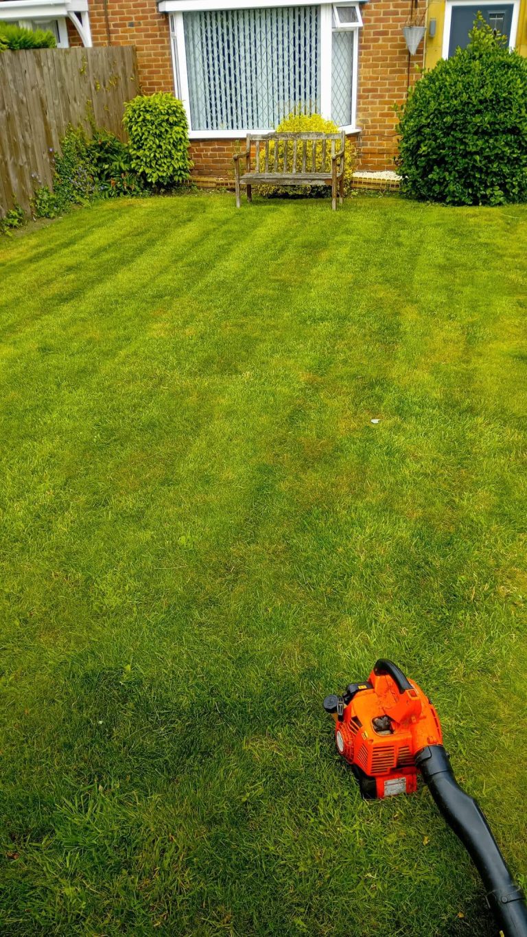 Lawn after cutting