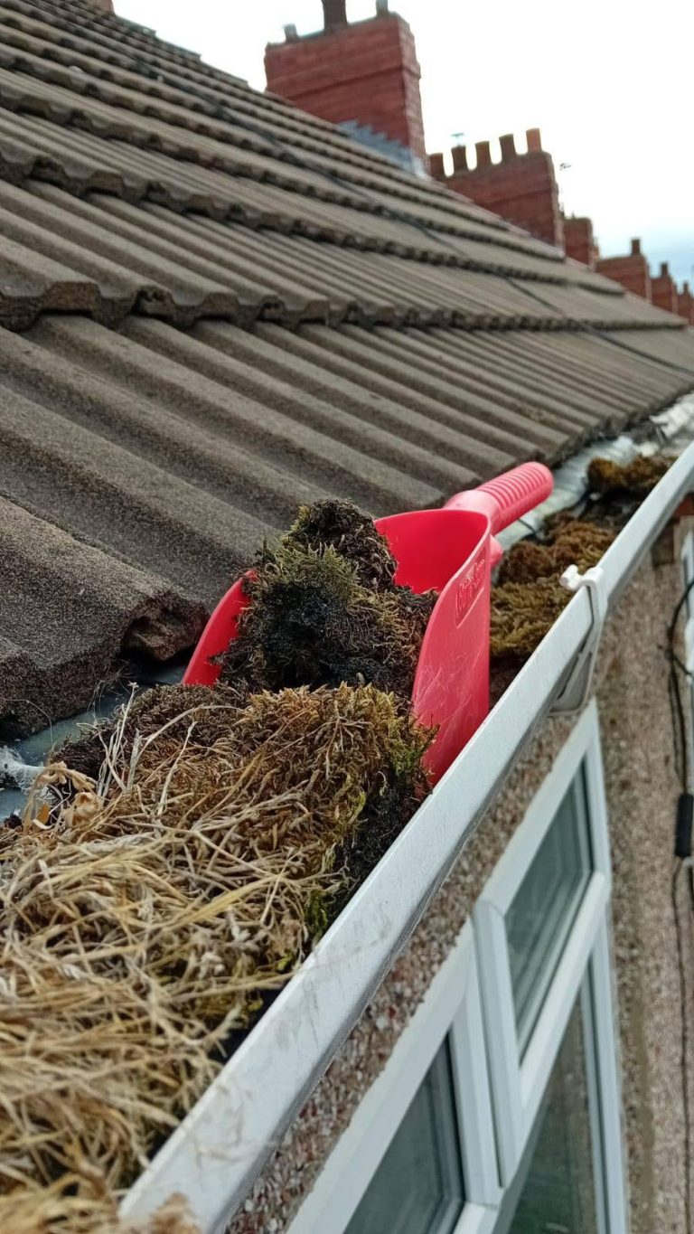 Gutter full of moss before clearing