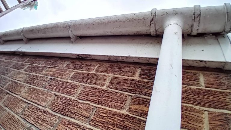 Dirty gutter and fascia before cleaning